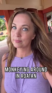 If you’re taking a cruise to Roatan, Honduras, here’s a great way to get around. We were able to do a chocolate tasting, rum tasting, enjoy scenic views, do some shopping, and explore in nature park all in one short day... and at about the same cost as a crowded cruise line excursion! Comment "ROATANINFO" and I'll send you my FREE Port Guide, private driver info, and more. | Professor Melissa