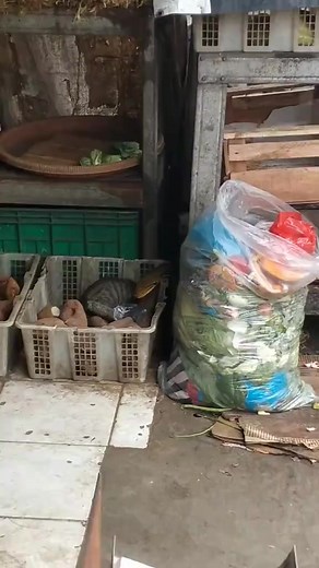 Simentel Mentel on Reels