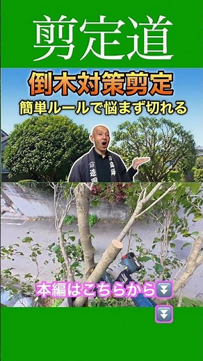 Celebrated 10,000 Views: Pruning Tips for Preventing Fallen Trees - Rules to Prune Without Hesita...