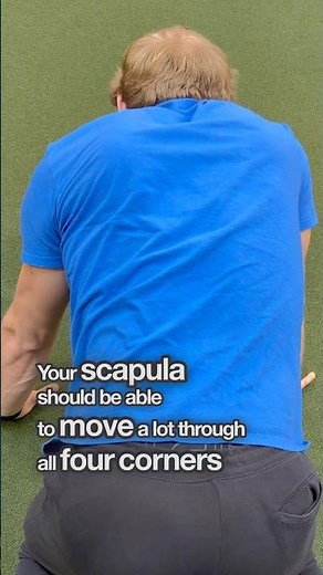 Scapula Mobility #gymworkout #homeworkout #warmup #stretching #strengthtraining #bodybuilding #yoga