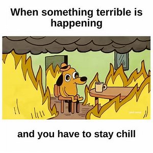 This is Fine Video Meme Template