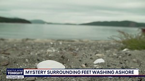 'Severed feet', sneakers and the Salish Sea: The truth behind a viral mystery