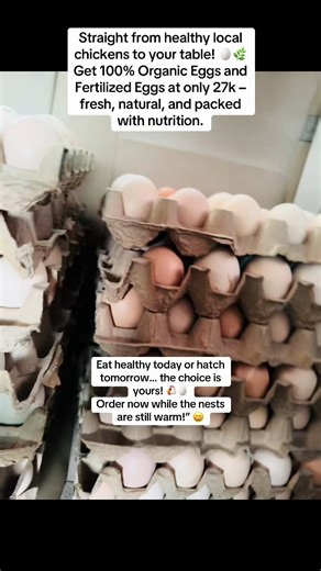 “Straight from healthy local chickens to your table! 🥚🌿 Get 100% Organic Eggs and Fertilized Eggs at only 27k – fresh, natural, and packed with nutrition. Eat healthy today or hatch tomorrow… the choice is yours! 🐔🥚 Order now while the nests are still warm!” 😄