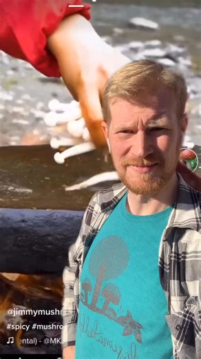 6.4K views · 15 reactions | PictureMushroom is a useless app. Use iNaturalist, ... #greenscreenvideo | Fascinatedbyfungi | Facebook