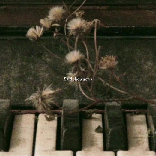 Graceland Too Phoebe Bridgers lyrics explained