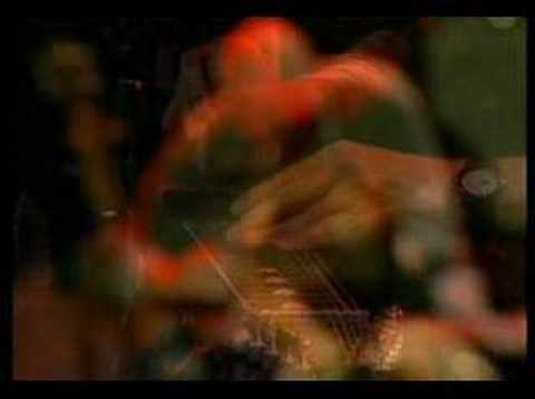 Poco Live - Magnolia