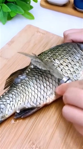 Clean and Efficient Shrimp & Fish Peeler #diy #utility #gadgets #kitten #shorts