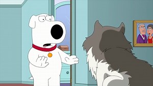 humans are pets 😲 #familyguy #familyguyclips #familyguyfunnymoments #funny #memes #viralpost #familyguyvideo | Family guy funs