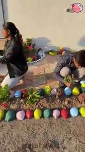 6.2M views · 28K reactions | Coconut shell - amazing reuse - colourful garden #coconut #garden | Hetal's Art | Facebook