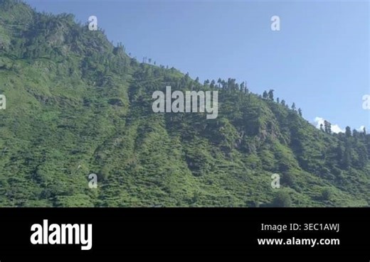 This features a stunning view of a green mountain covered in trees, set against a clear blue sky. The footage captures the natural beauty of the landscape, showcasing the vibrant flora and fauna of the region. Jibhi, Kheerganga trek, Himachal Pradesh Stock Video Footage - Alamy