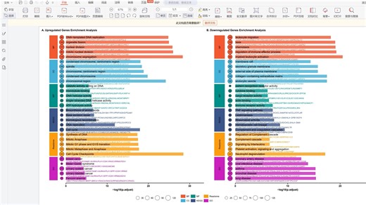 375.富集分析更新，分上调和下调基因分别进行富集分析，KEGG GO do Reactome