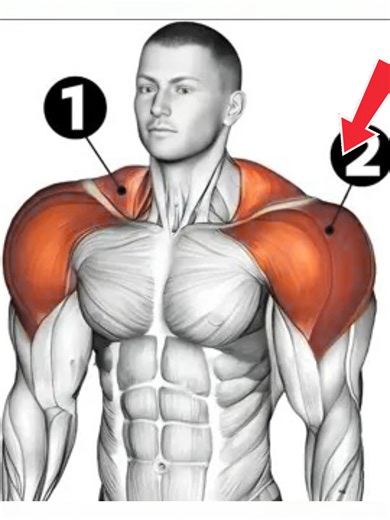 Top 5 Shoulders Workout at GYM With Dumbbell #tiktokuk #gym #gymtok #gymlife #fitness #exercise #workout #DeltWorkout #ukGymTok #UKFitness #ShoulderDay #shoulders #ShoulderPump #shouldersworkout