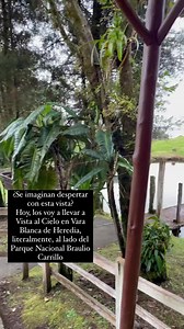 Ecohotel Vista al Cielo, Vara Blanca, Heredia📍 • • • Para tomar en cuenta 📝 - Contacto 8872-4356 📞 - Hospedaje en cabañas rústicas con agua caliente. - 5 cabañas para 4 personas cada una y tenemos la cabaña del árbol que es para 2 personas - Servicio de bar y alimentación sólo para nuestros huéspedes. - Actividades: paseos a caballo, bote inflable en el lago y senderos. - En la zona no se cuenta con electricidad, operamos con gas e iluminación con lámparas solares. - El último kilómetro antes