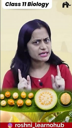 Fruit, Seed | Class 11 Biology Plant Kingdom Chapter 3 NCERT with Roshni Ma'am #conceptcrystalclear