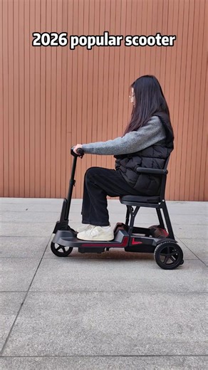2026 Popular Electric Mobility Scooters