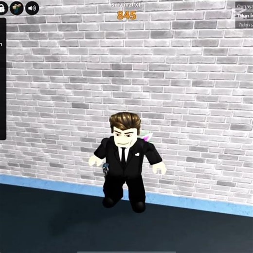 Murder mystery bug My Roblox name:swx5838