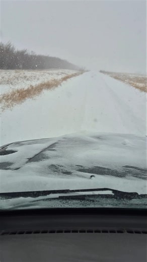 2003 Toyota Sequoia Loves Snow - RWD, AWD LOCKED 4X4 & Low You Choose 🤠