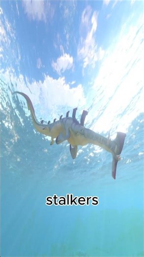 the 5 most usefull creatures in subnautica