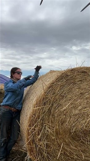 One mistake ruins this