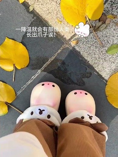 My good friend, would you like to wear these bunny cotton slippers with me this winter?