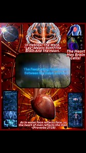 DISCOVERY OF BRAIN CELLS IN THE HEART! (The Heart Has Brain Cells!)...