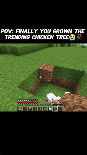Finally I found the chicken tree in Minecraft 😅