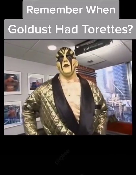 WWE Goldust Tourettes: Remember When Goldust Had Tourettes?