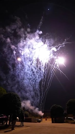 MASTER TAIL GALORE 260 shot firework cake 🔥🔥💥 NEW BANGER!! #fireworks #july4th #pyro #boom