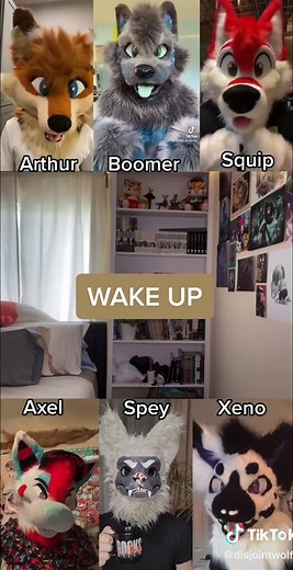 Fun Furry Zoom Meeting with Neck Fluff Gang | Fursuit Community 2022