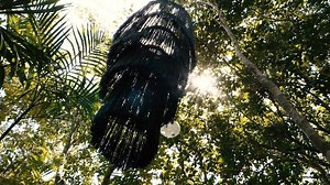 Arthouse Tulum is a project of Art & Wellness Residences in the middle of Tulum’s Tropical Jungle.  It has its own Natural Reservoire, a Gallery for Contemporary Art, a Library, an hydrotherapy pool in the jungle, and a Residency for Artists. + info contacto@imexicorealestate.com | iMexico Real Estate | Facebook