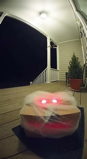 Creepy Elf Guards Santa's Package! 🎅🕷️