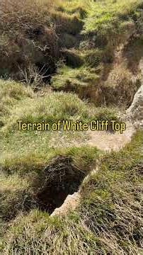 Terrain of White Cliff Top