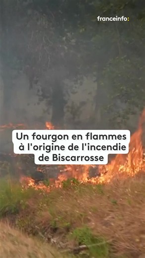 Un violent incendie continue de progresser à Biscarrosse. Plus de 2 500 hectares ont déjà brûlé et des milliers de personnes ont été évacuées. L'origine du feu serait accidentelle. #sinformersurtiktok