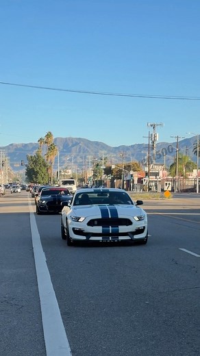 23K views · 1.4K reactions | Heading to Galpin Ford Partners Rims...