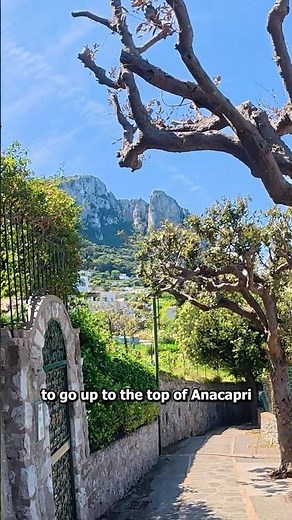 Journey to the Top of Capri #capri #italy #amalficoast