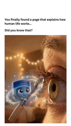 How Human Life Works on Instagram: "Vaseline hydrates eyelashes by sealing in moisture rather than adding it. It creates a protective barrier around each lash that prevents water loss, which helps keep lashes flexible and less likely to snap or fall out. When lashes stay moisturized, they’re more resistant to dryness and brittleness caused by makeup, cleansing, or environmental exposure. It also conditions the lash line and surrounding skin, reducing irritation that can weaken lashes at the root