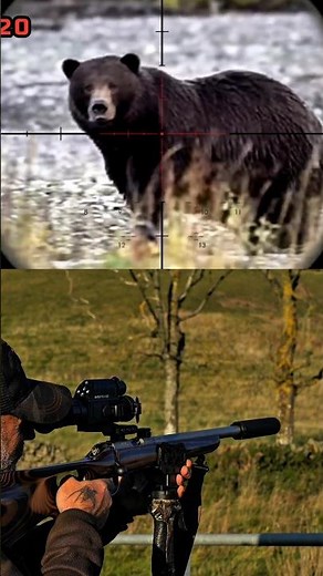 Extreme Long Range Bear Hunt | Sniper Precision Shot in USA 🐻🎯