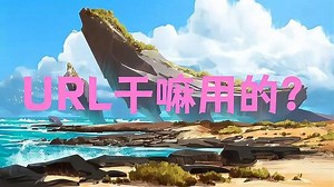 常看到的url是什么意思？干嘛的？