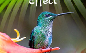 Sorry, we have encountered a problem. - Alexander Street, a ProQuest Company