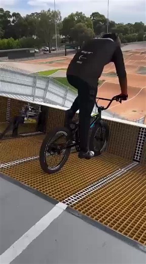 Explore the Magic of AI with BalliBot