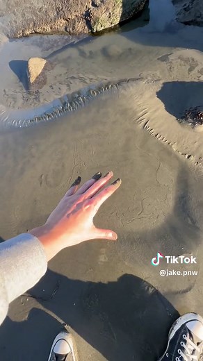 Discovering Real Life Quicksand: Uncovering the Mystery Beneath the Surface
