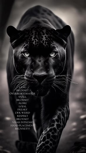 Understanding Brunnet: Characteristics and Traits