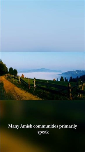 Languages Spoken in the U S