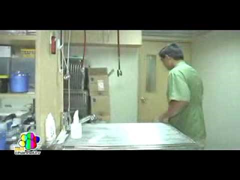 Inside Vets in Practice (VIP) Animal Hospital