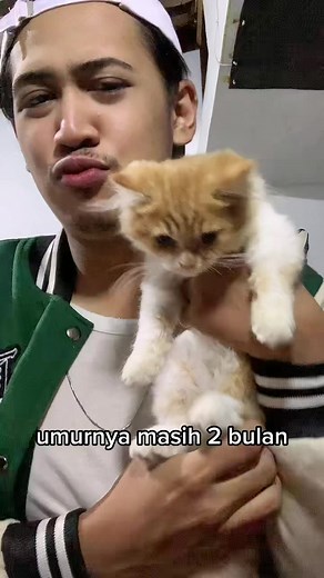 BOLEH GA SI KITA GIGIT ANAK KUCING 😭😭 GAKUATTT
