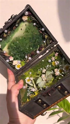 Spring's Poetic Line: Butterfly Flutters in Quicksand Box