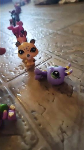 my LPS collection! #lps #collection
