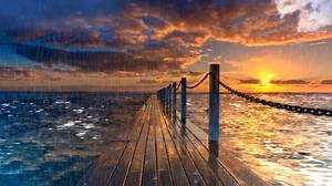 景观 自然 森林 - Free video on Pixabay