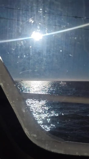 Snap benefits can't effect us shrimper's we eating what we catch 🫴 😂😂😂😆😆 | Gus Green