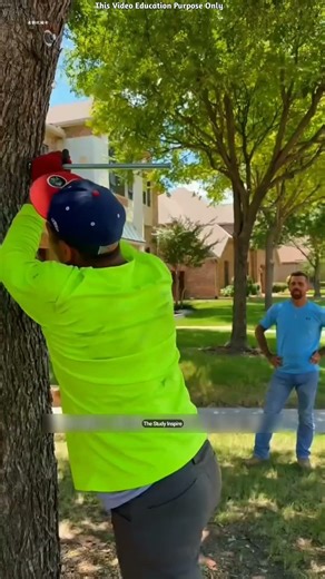 Why Is He Drilling Into a Tree! 🌳 😳 #shortsvideo